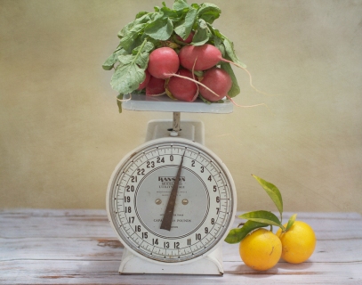 CB-2049-radishes_scale2 CB-2049-radishes_scale2