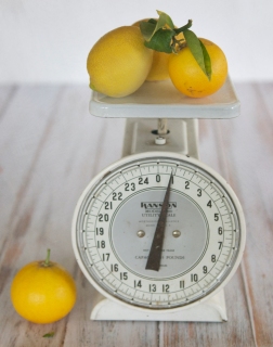CB-2054-scale_lemons2-Edit CB-2054-scale_lemons2-Edit