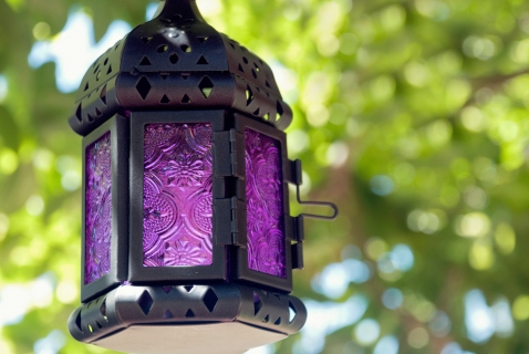 CB-2063-purple-lantern