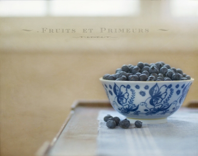 CB-2066-blueberries