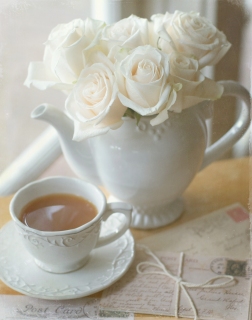 CB-2071b-whiteroses_teacup_vertical