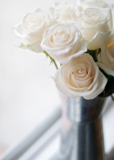 CB-2073a-white_roses_pitcher