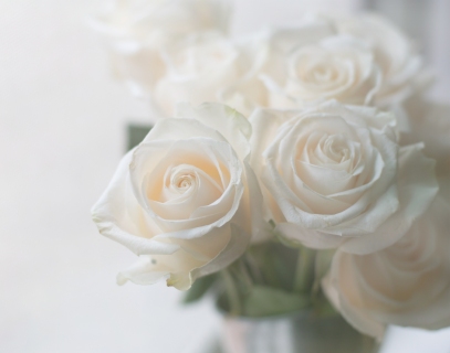 CB-2073b-white_roses2