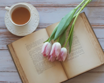 CB-2075-tulips_book_tea_16x20