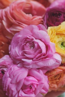 CB-2078-flowers_upclose