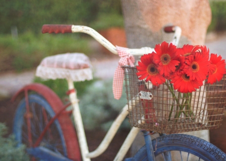 CB-2094-bicycle_red-flowers