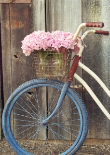 CB-2095-bicycle1