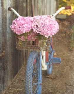 CB-2096-bicycle2