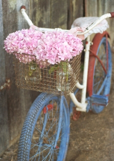 CB-2097-bicycle3