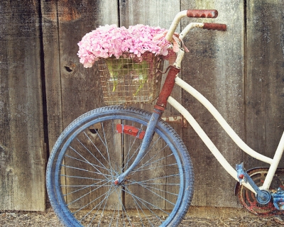 CB-2098-bicycle4