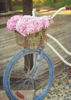 CB-2099-bicycle5