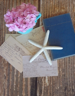 CB-2101-hydrangea_overhead