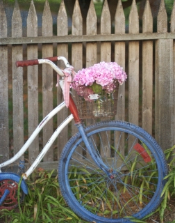 CB-2128-bicycle_woodenfence