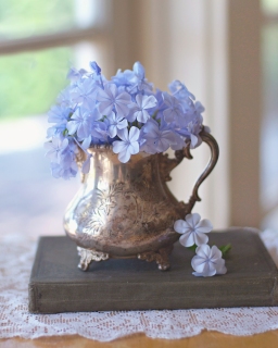 CB-2137-antique_pitcher_blueflowers_vertical