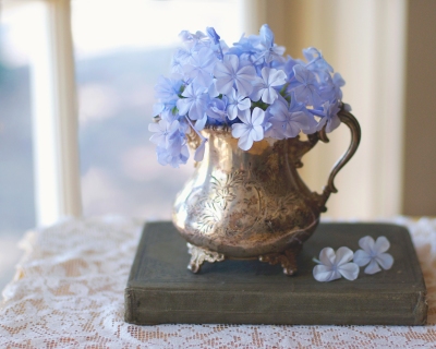 CB-2138-antique_pitcher_blueFlowers