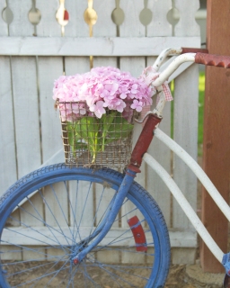 CB-2141-bicycle_whitegate