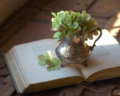 CB-2146-green_hydrangea_book