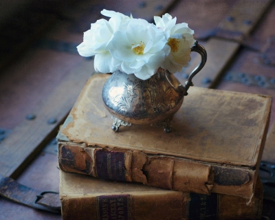 CB-2149-iceberg_roses_books