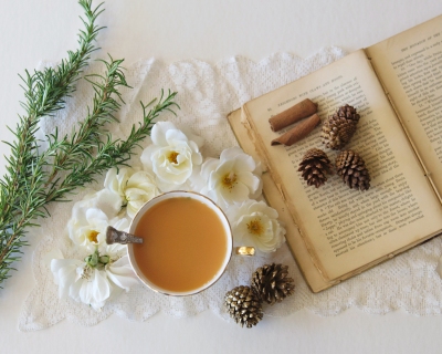CB-2153-pinecones_book_tea_roses