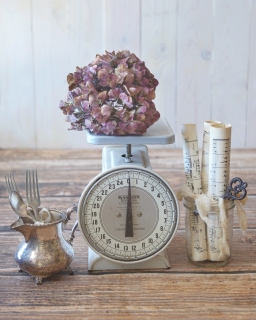 CB-2158-scale_hydrangea_musicsheets