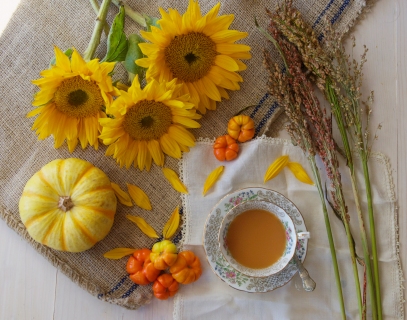 CB-2160-sunflowers_pumpkin