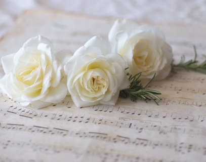 CB-2163-white_roses2