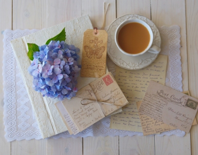 CB-2167-bluehydrangea_overhead