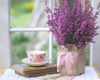 CB-2169-heather_cup_books