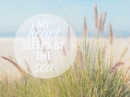 CB-2175-beach_grass3-horiz