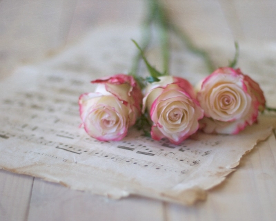 CB-2180-3roses_musicsheet