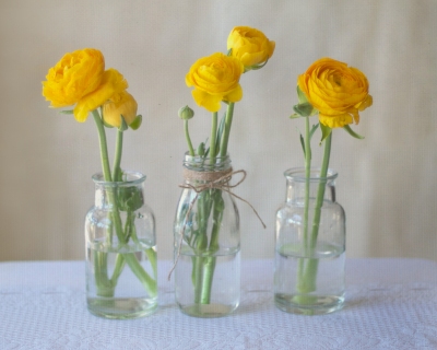 CB-2181-bottles_yellow_ranunculus