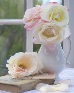 CB-2183-roses_window1