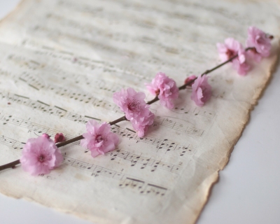 CB-2186-cherryblossom_musicsheet2