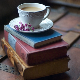 CB-2187-cup_books