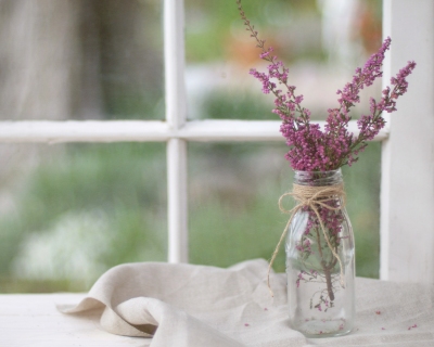 CB-2192-heather_bottle_window
