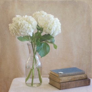 CB-2194-hydrangea_books