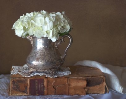 CB-2196-hydrangea_silverpitcher_oldbook