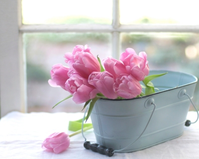 CB-2204-tulips_blue_tin_window
