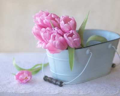 CB-2205-tulips_blue_tin