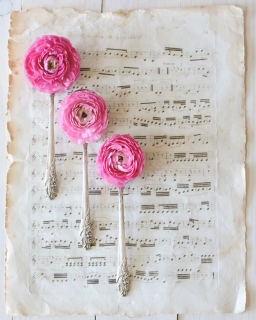 CB-2208-3spoons_musicsheet