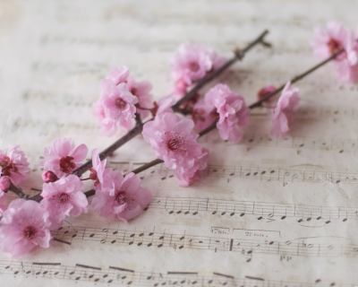 CB-2210-cherryblossom_musicsheet1