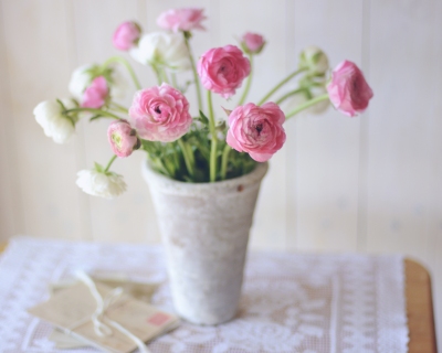 CB-2212-flowerpot_flowers_pink_white