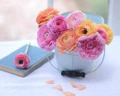 CB-2213-flowers_bucket_window