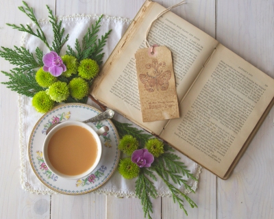 CB-2216-greenery_book_cup