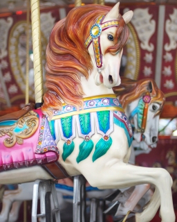 CB-2218-horse_carousel