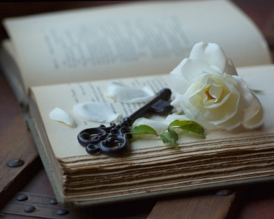 CB-2220-key_book_rose