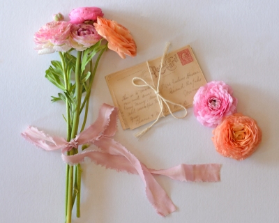 CB-2221-flowers_ribbon_postcards