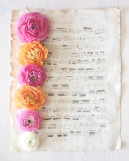 CB-2228-music_sheet_flowers