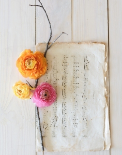 CB-2229-musicsheet_branch_flowers