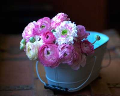 CB-2234-ranuncs_bluebucket_8x10